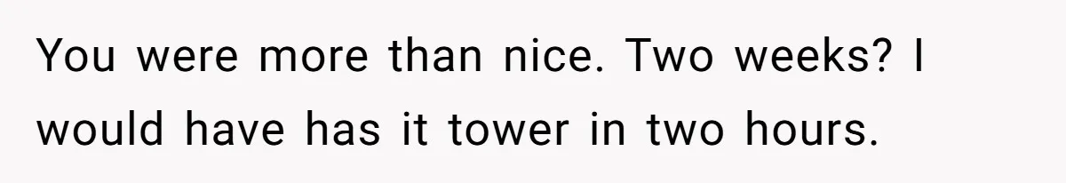 You were more than nice. Two weeks? I would have has it tower in two hours.