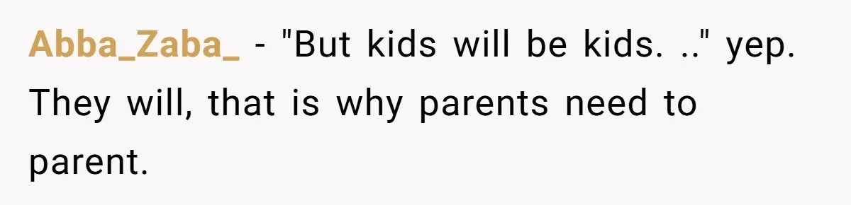 Abba_Zaba_ − "But kids will be kids. .." yep. They will, that is why parents need to parent.