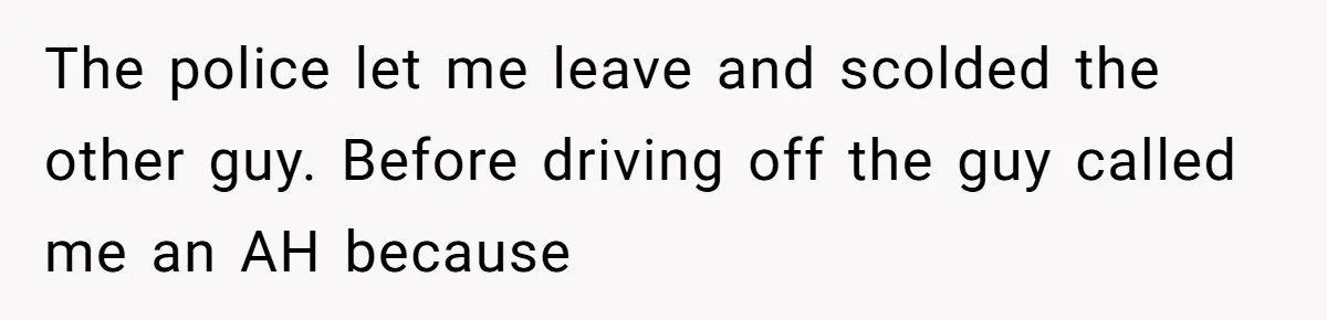 The police let me leave and scolded the other guy. Before driving off the guy called me an AH because