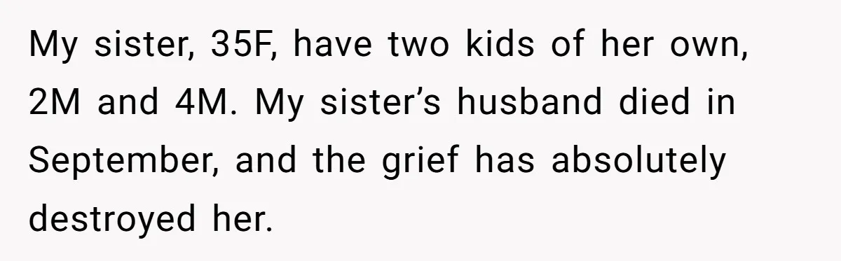 My sister, 35F, have two kids of her own, 2M and 4M. My sister’s husband died in September, and the grief has absolutely destroyed her.
