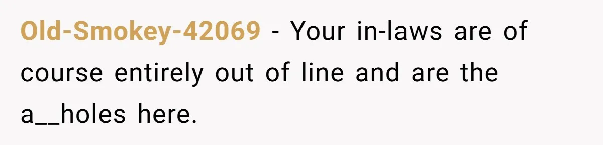 Old-Smokey-42069 − Your in-laws are of course entirely out of line and are the a__holes here.