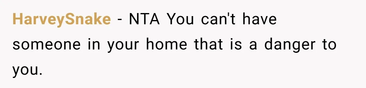 HarveySnake − NTA You can't have someone in your home that is a danger to you.