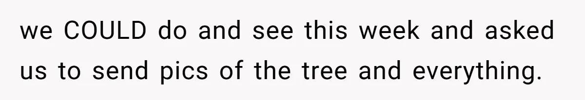 we COULD do and see this week and asked us to send pics of the tree and everything.