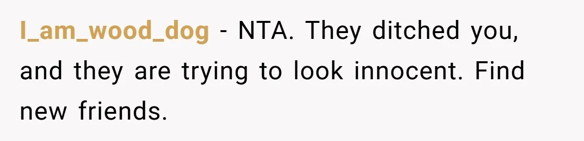 I_am_wood_dog − NTA. They ditched you, and they are trying to look innocent. Find new friends.
