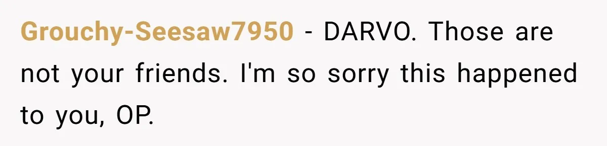 Grouchy-Seesaw7950 − DARVO. Those are not your friends. I'm so sorry this happened to you, OP.