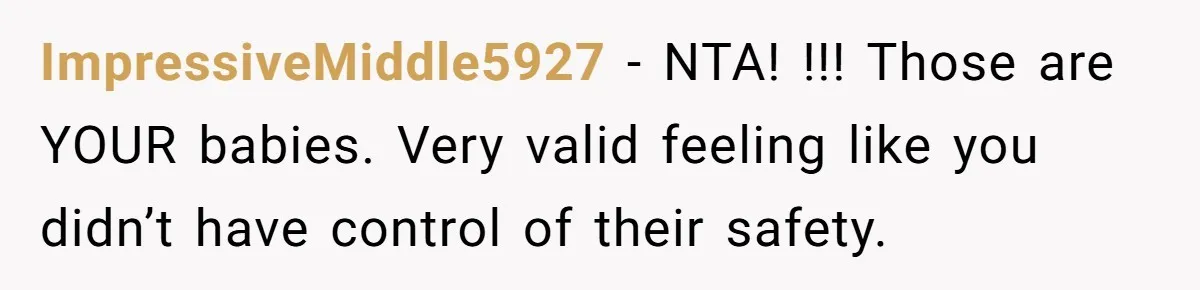 ImpressiveMiddle5927 − NTA! !!! Those are YOUR babies. Very valid feeling like you didn’t have control of their safety.