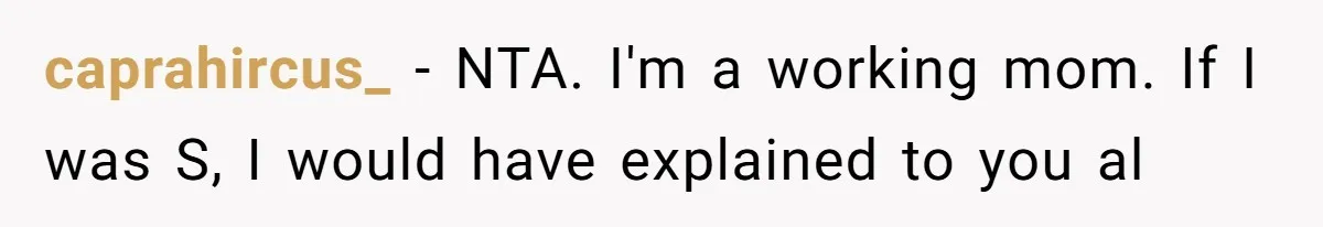 caprahircus_ − NTA. I'm a working mom. If I was S, I would have explained to you al