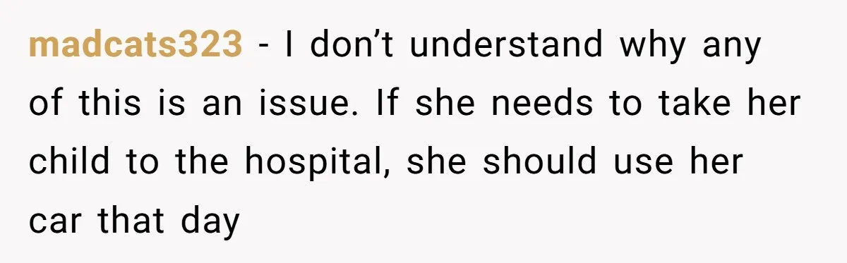 madcats323 − I don’t understand why any of this is an issue. If she needs to take her child to the hospital, she should use her car that day