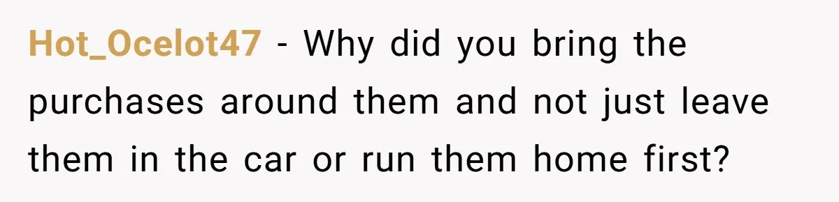 Hot_Ocelot47 − Why did you bring the purchases around them and not just leave them in the car or run them home first?