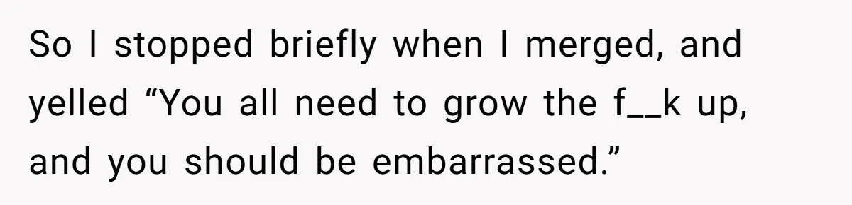 So I stopped briefly when I merged, and yelled “You all need to grow the f__k up, and you should be embarrassed.”