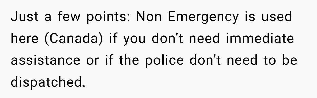 Just a few points: Non Emergency is used here (Canada) if you don’t need immediate assistance or if the police don’t need to be dispatched.