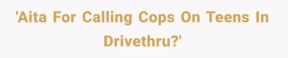 'AITA for calling cops on teens in drivethru?'