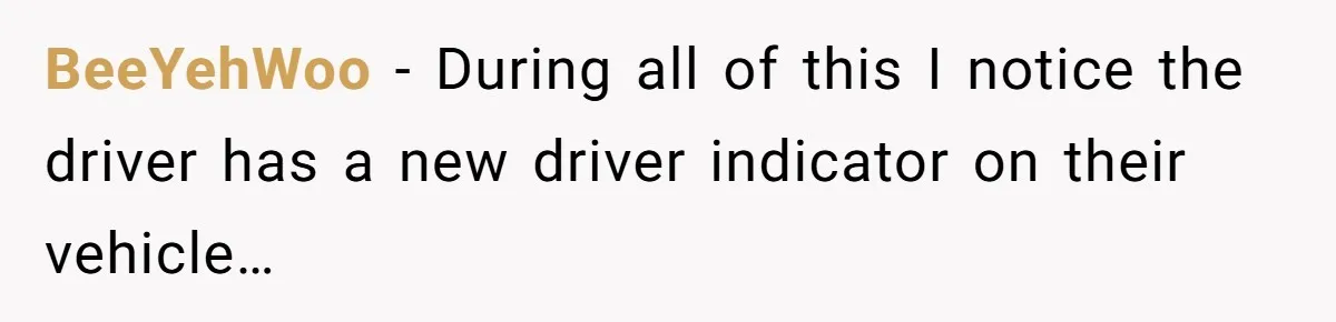 BeeYehWoo − During all of this I notice the driver has a new driver indicator on their vehicle…
