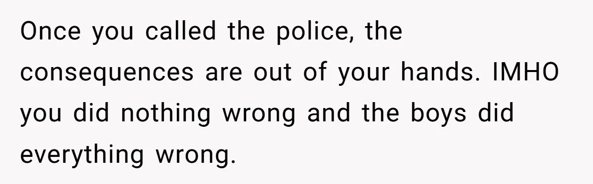 Once you called the police, the consequences are out of your hands. IMHO you did nothing wrong and the boys did everything wrong.
