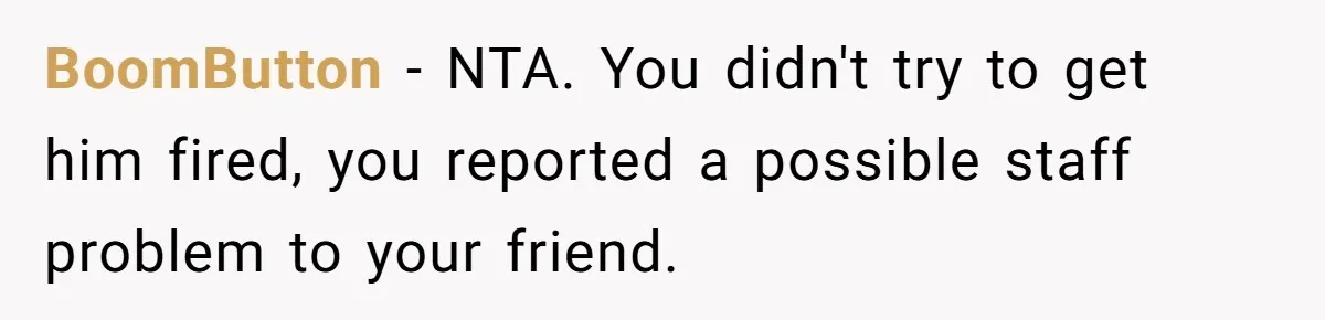 BoomButton − NTA. You didn't try to get him fired, you reported a possible staff problem to your friend.