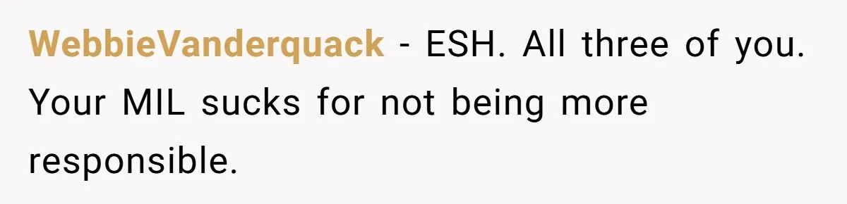 WebbieVanderquack − ESH. All three of you. Your MIL sucks for not being more responsible.
