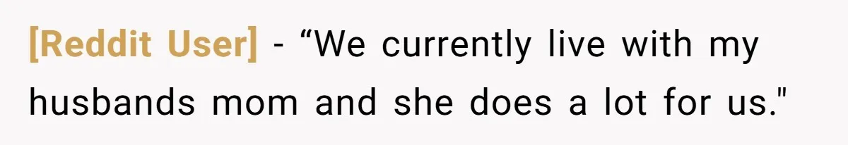 [Reddit User] − “We currently live with my husbands mom and she does a lot for us."