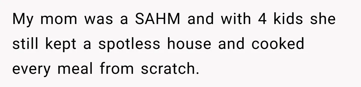 My mom was a SAHM and with 4 kids she still kept a spotless house and cooked every meal from scratch.