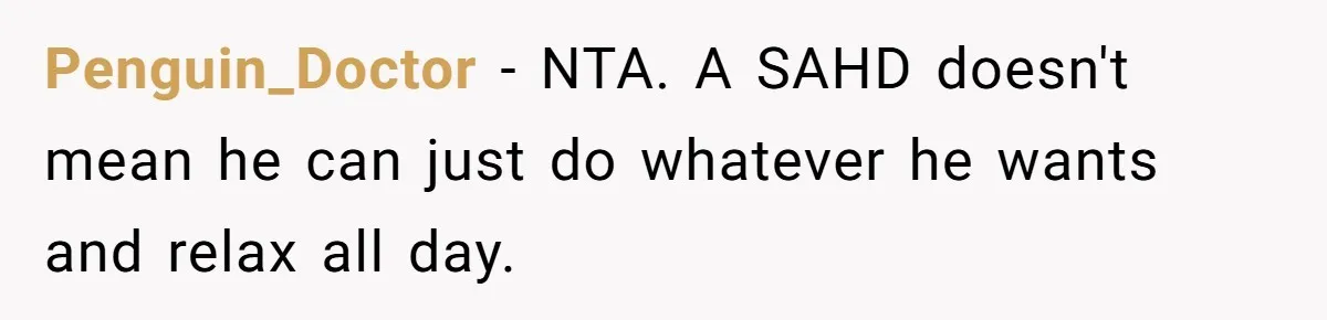 Penguin_Doctor − NTA. A SAHD doesn't mean he can just do whatever he wants and relax all day.