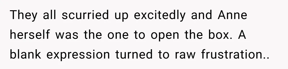 They all scurried up excitedly and Anne herself was the one to open the box. A blank expression turned to raw frustration..