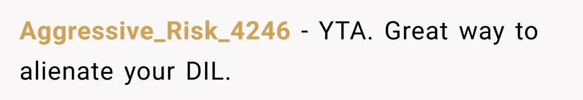 Aggressive_Risk_4246 − YTA. Great way to alienate your DIL.