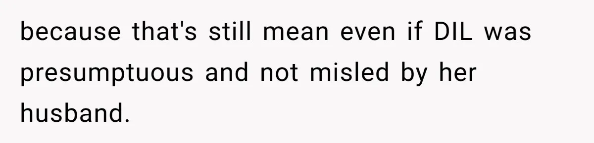 because that's still mean even if DIL was presumptuous and not misled by her husband.