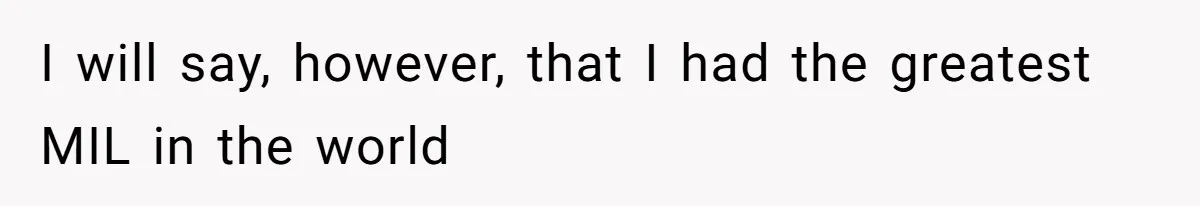 I will say, however, that I had the greatest MIL in the world