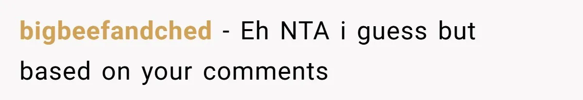 bigbeefandched − Eh NTA i guess but based on your comments