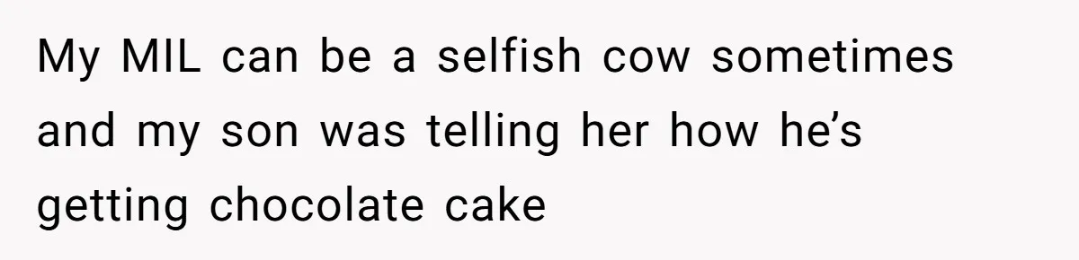 My MIL can be a selfish cow sometimes and my son was telling her how he’s getting chocolate cake