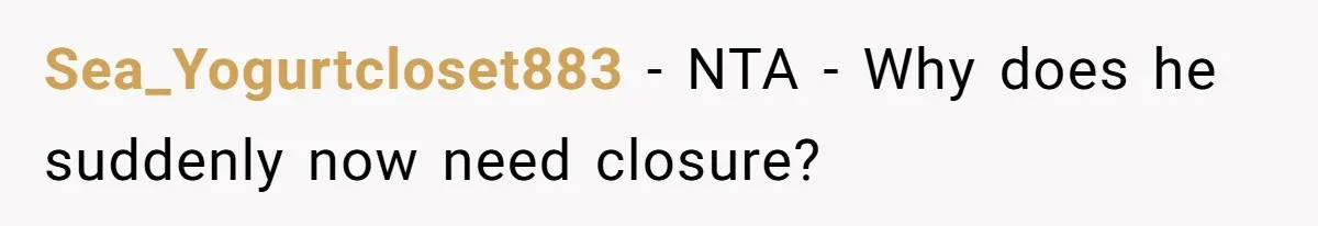 Sea_Yogurtcloset883 − NTA - Why does he suddenly now need closure?