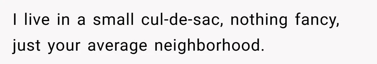 I live in a small cul-de-sac, nothing fancy, just your average neighborhood.