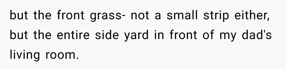 but the front grass- not a small strip either, but the entire side yard in front of my dad's living room.