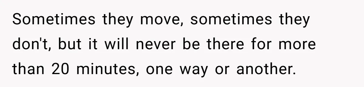 Sometimes they move, sometimes they don't, but it will never be there for more than 20 minutes, one way or another.