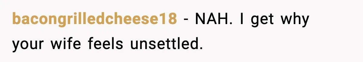 bacongrilledcheese18 - NAH. I get why your wife feels unsettled.