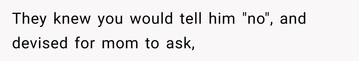 They knew you would tell him "no", and devised for mom to ask,