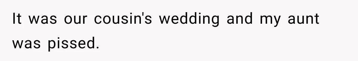 It was our cousin's wedding and my aunt was pissed.