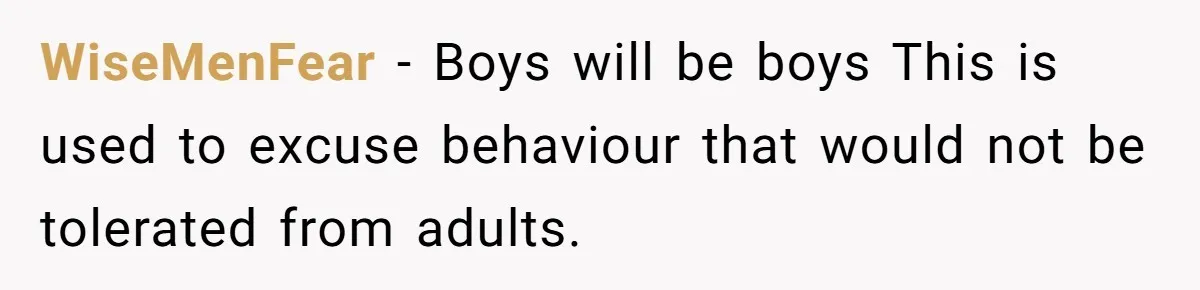 WiseMenFear − Boys will be boys This is used to excuse behaviour that would not be tolerated from adults.