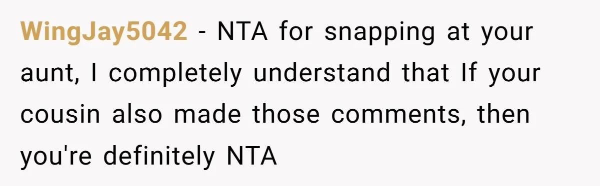 WingJay5042 − NTA for snapping at your aunt, I completely understand that If your cousin also made those comments, then you're definitely NTA
