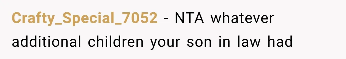 Crafty_Special_7052 − NTA whatever additional children your son in law had