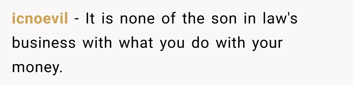 icnoevil − It is none of the son in law's business with what you do with your money.