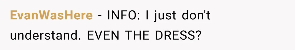 Bride Confesses She Hated Her Wedding, Husband Now Giving Her The Silent Treatment EvanWasHere − INFO: I just don't understand. EVEN THE DRESS?