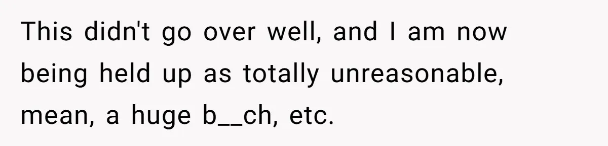 This didn't go over well, and I am now being held up as totally unreasonable, mean, a huge b__ch, etc.