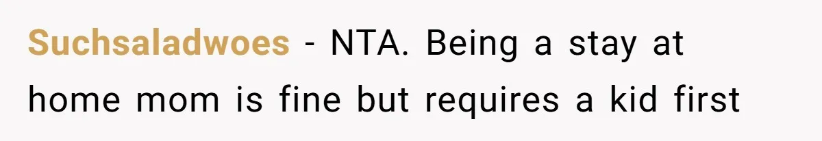 Suchsaladwoes − NTA. Being a stay at home mom is fine but requires a kid first