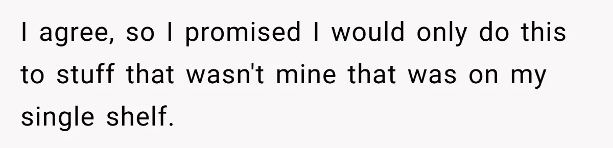 I agree, so I promised I would only do this to stuff that wasn't mine that was on my single shelf.