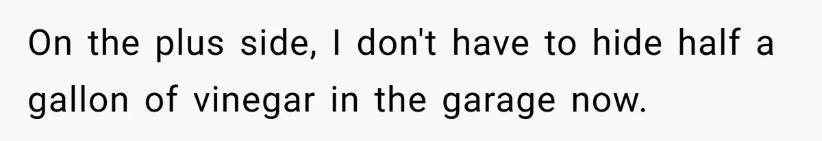 On the plus side, I don't have to hide half a gallon of vinegar in the garage now.