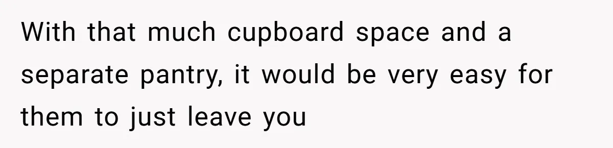 With that much cupboard space and a separate pantry, it would be very easy for them to just leave you
