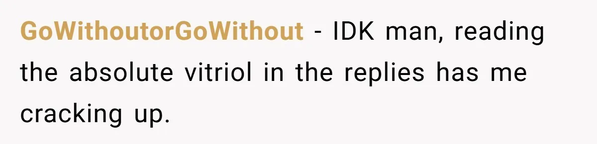 GoWithoutorGoWithout − IDK man, reading the absolute vitriol in the replies has me cracking up.