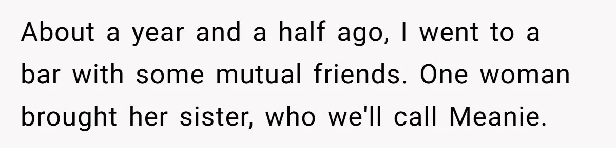About a year and a half ago, I went to a bar with some mutual friends. One woman brought her sister, who we'll call Meanie.
