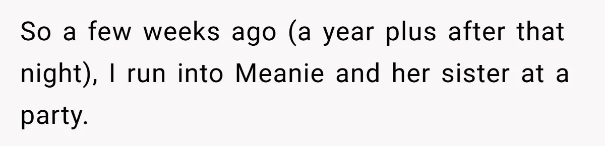 So a few weeks ago (a year plus after that night), I run into Meanie and her sister at a party.
