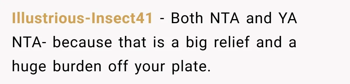Illustrious-Insect41 − Both NTA and YA NTA- because that is a big relief and a huge burden off your plate.